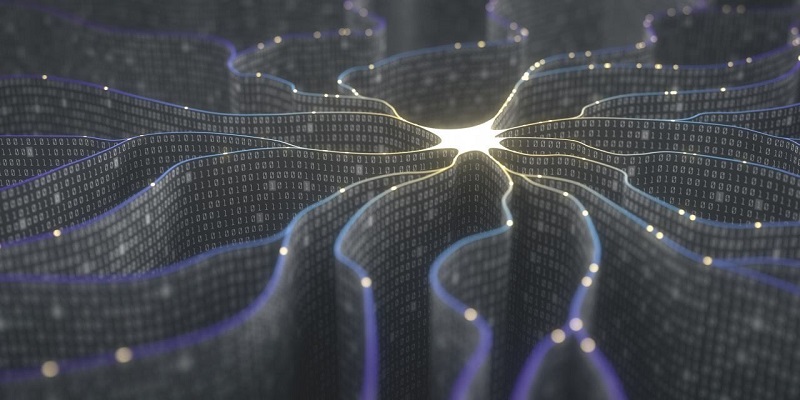 1706514557428899.jpg 15.jpg